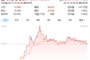 命盘查询上市首日暴涨140% 军用无人机公司登陆纽交所 AI打造产品核心竞争力