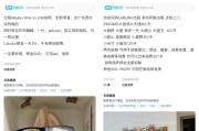 命盘查询闲鱼：LABUBU搜索量环比上涨1000%，供不应求下现租赁新形式