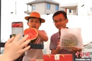 命盘查询（乡村行·看振兴）江西安福“小西瓜”撬动乡村共富“大支点”