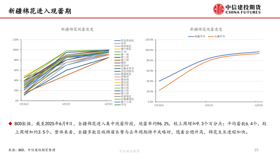 【棉花纺谈】供应端阶段性缩量 疆棉基(🤞)差坚挺